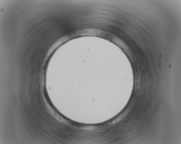 X0000083011130200702231805