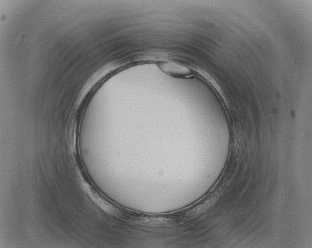 X0000083011131200702231805