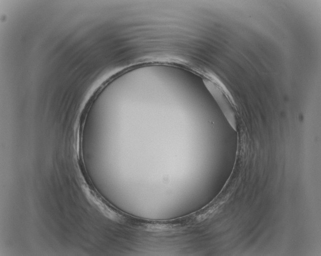 X0000083011132200702231805