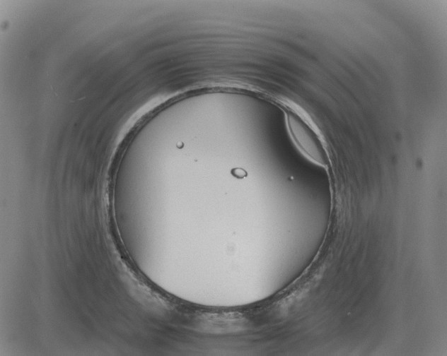 X0000083011133200702231805