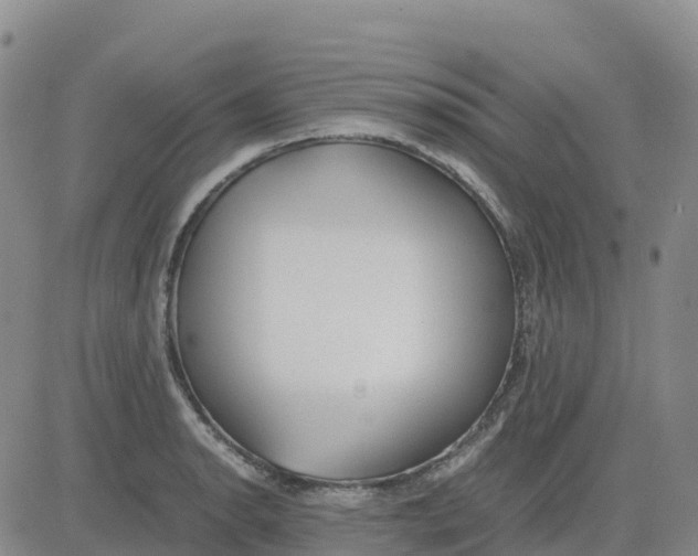 X0000083011134200702231805