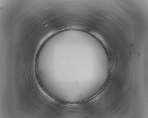 X0000083011135200702231805