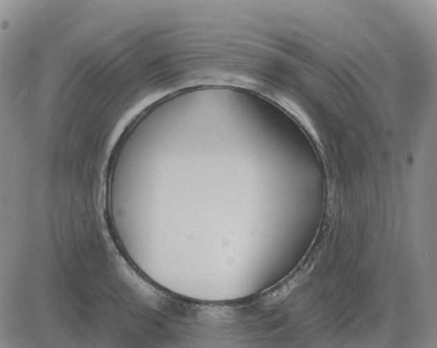 X0000083011136200702231805