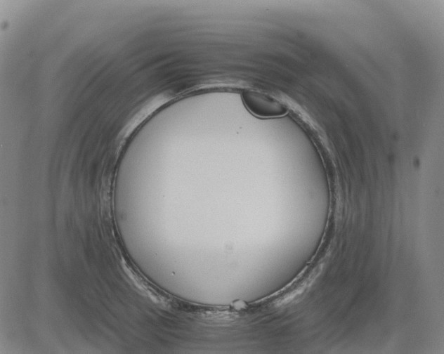 X0000083011137200702231805