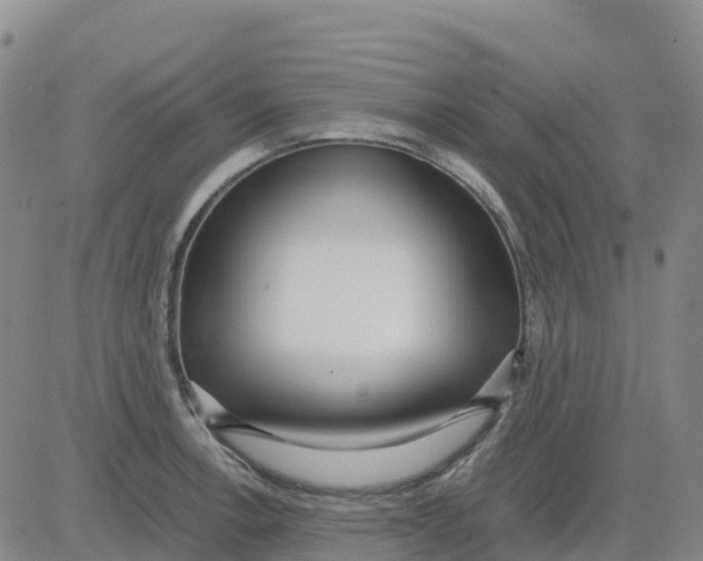 X0000083011138200702231805