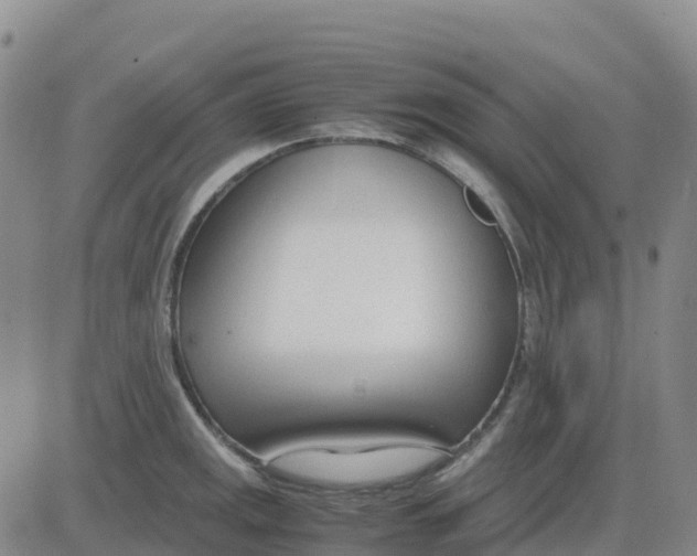 X0000083011141200702231806