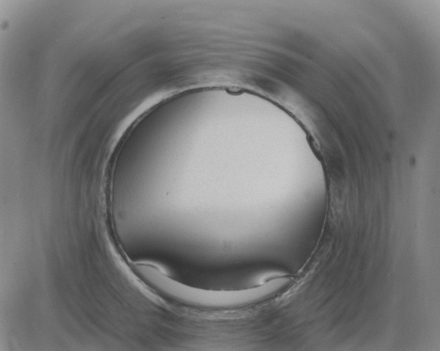 X0000083011142200702231806