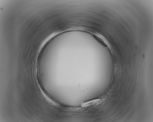 X0000083011143200702231806