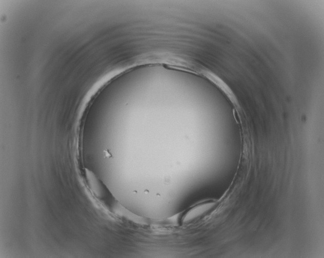 X0000083011144200702231806