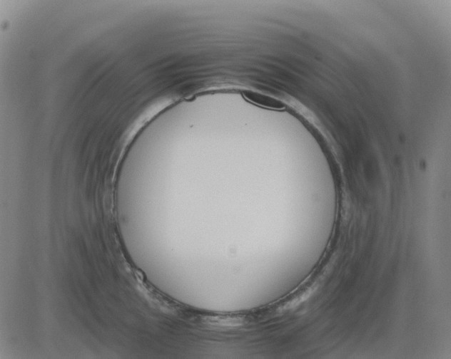 X0000083011145200702231806