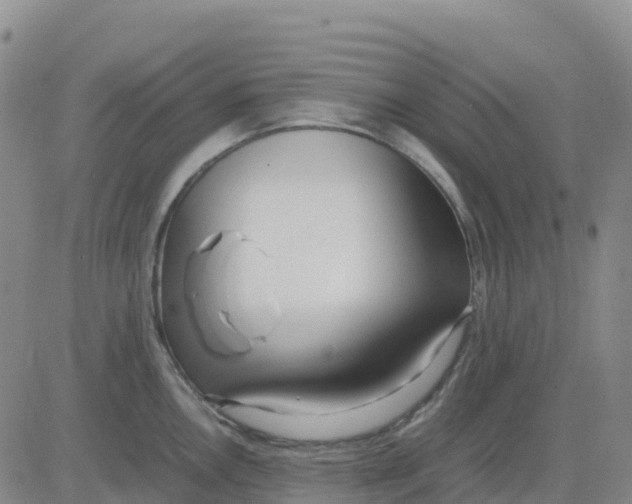 X0000083011146200702231806