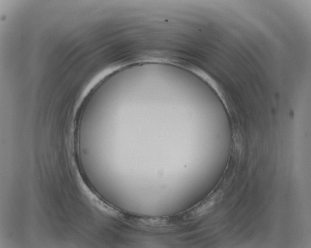 X0000083011147200702231806