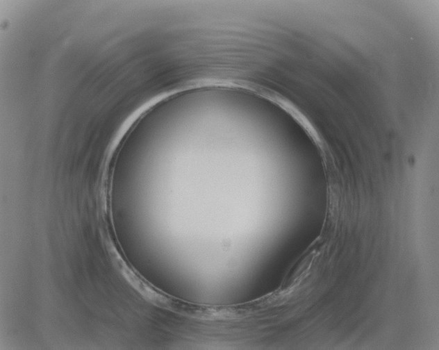 X0000083011148200702231806