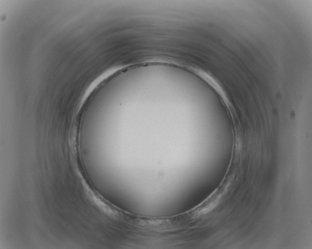 X0000083011149200702231806