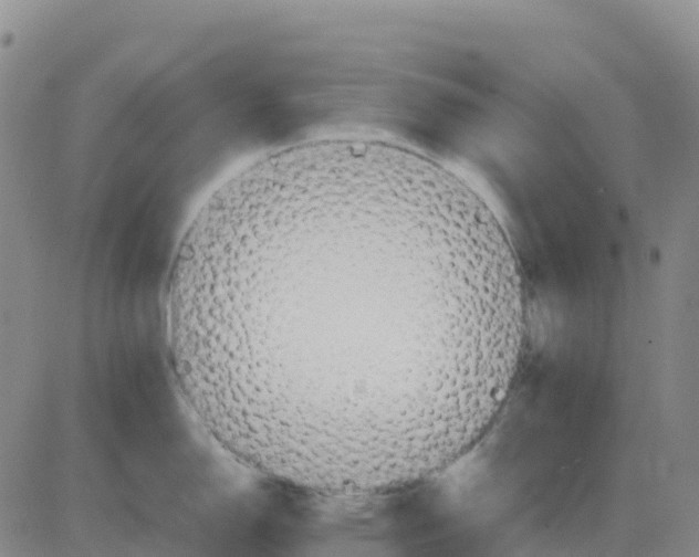 X0000083011150200702231806