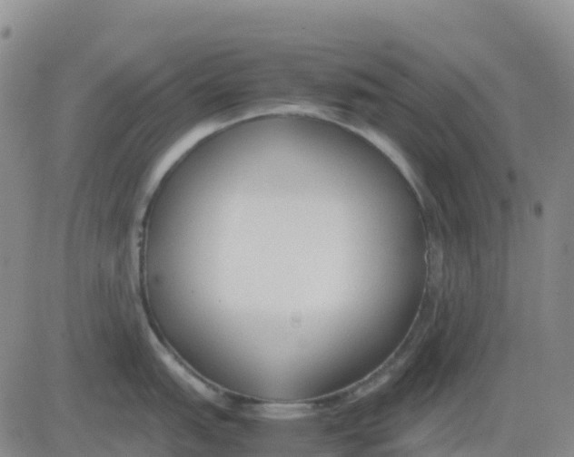 X0000083011151200702231806