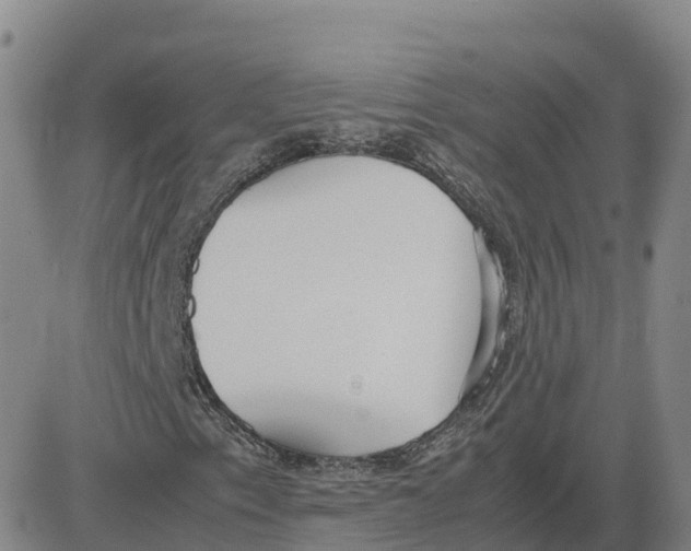 X0000083011153200702231805