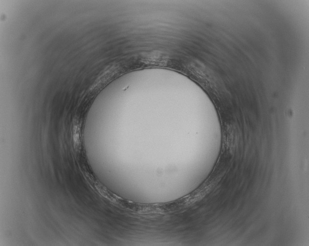 X0000083011154200702231805