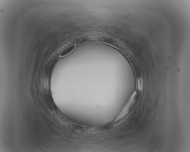 X0000083011155200702231805