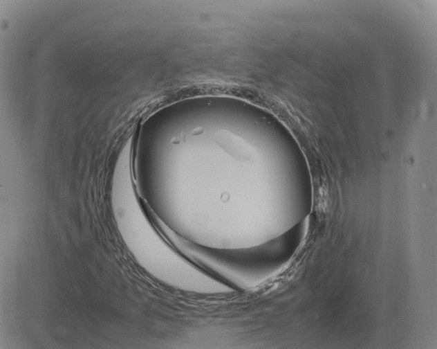 X0000083011157200702231805