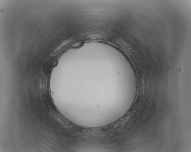 X0000083011158200702231805