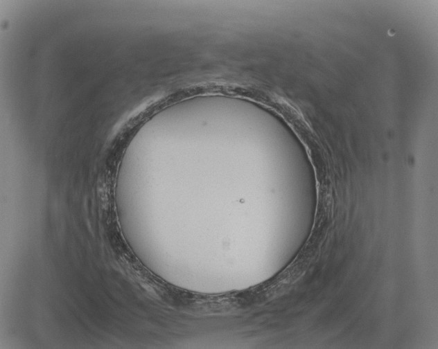 X0000083011159200702231805