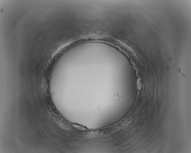 X0000083011160200702231805