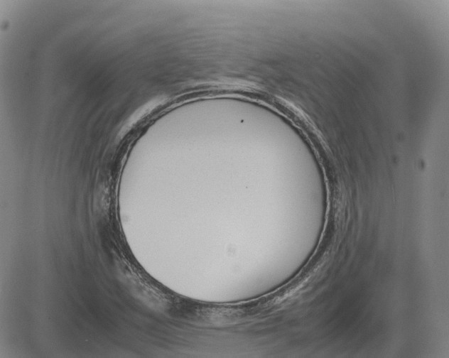 X0000083011163200702231805