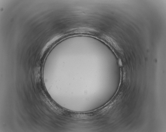 X0000083011164200702231805