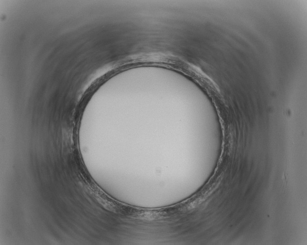 X0000083011166200702231805