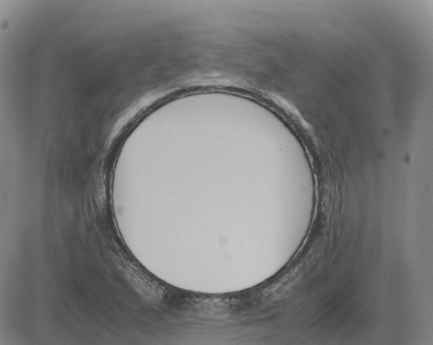 X0000083011167200702231805