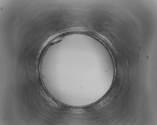 X0000083011168200702231805