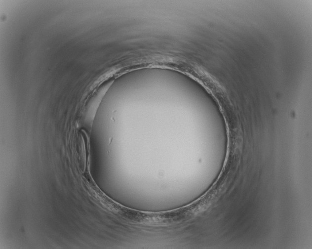 X0000083011169200702231805