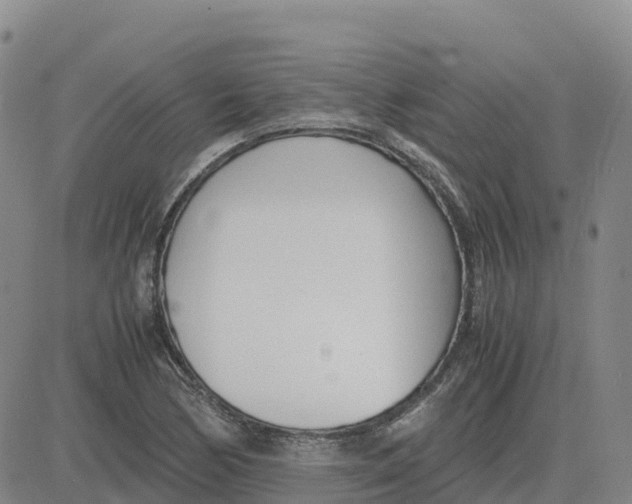 X0000083011170200702231805