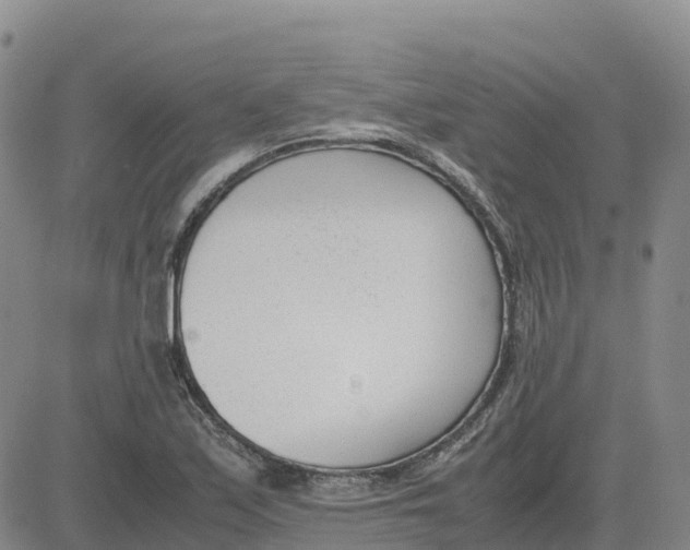 X0000083011171200702231805