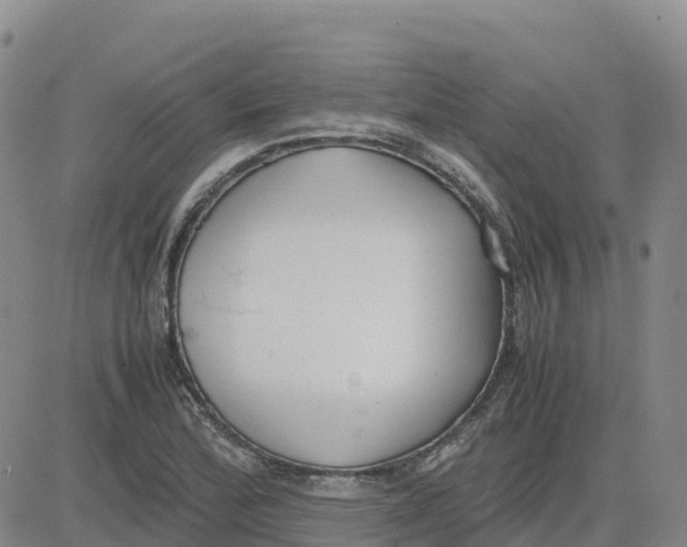 X0000083011172200702231805