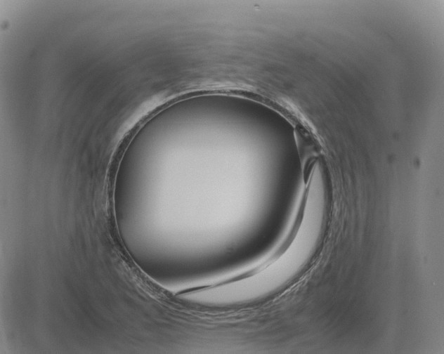 X0000083011173200702231805