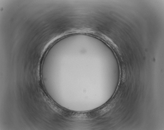 X0000083011174200702231805