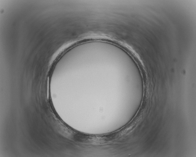 X0000083011175200702231805