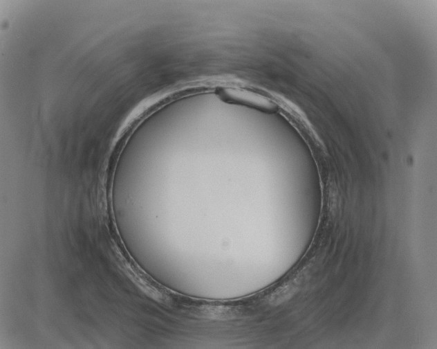 X0000083011176200702231805