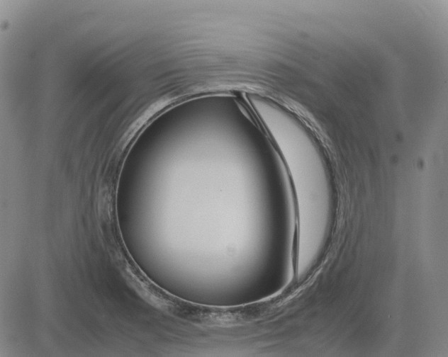 X0000083011177200702231805