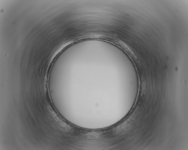 X0000083011178200702231805