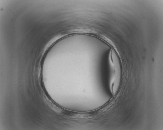 X0000083011179200702231805