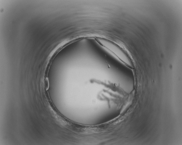 X0000083011181200702231804