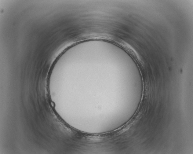 X0000083011182200702231804