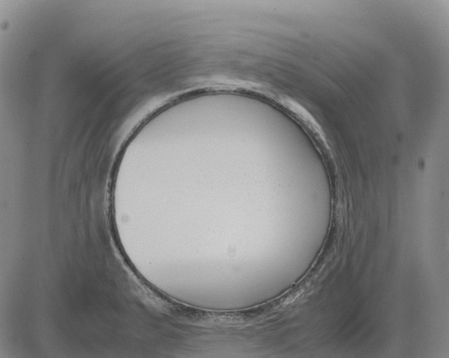 X0000083011183200702231804