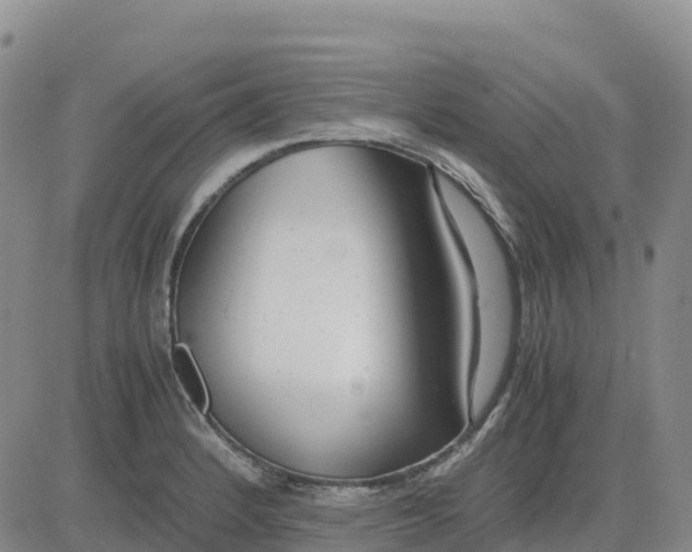 X0000083011184200702231804