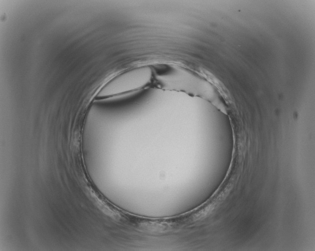 X0000083011185200702231804