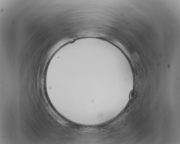 X0000083011187200702231804