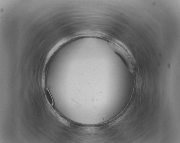 X0000083011188200702231804